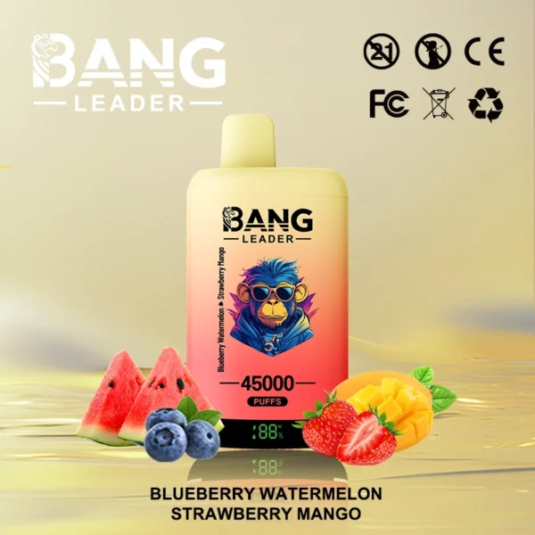 Bang Leader 45000 Puffs 45k 2 em 1 Vape descartável