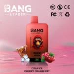 Bang Leader 45000 Puffs 45k 2 σε 1 Vape μίας χρήσης
