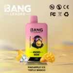 Bang Leader 45000 Puffs 45k 2 σε 1 Vape μίας χρήσης