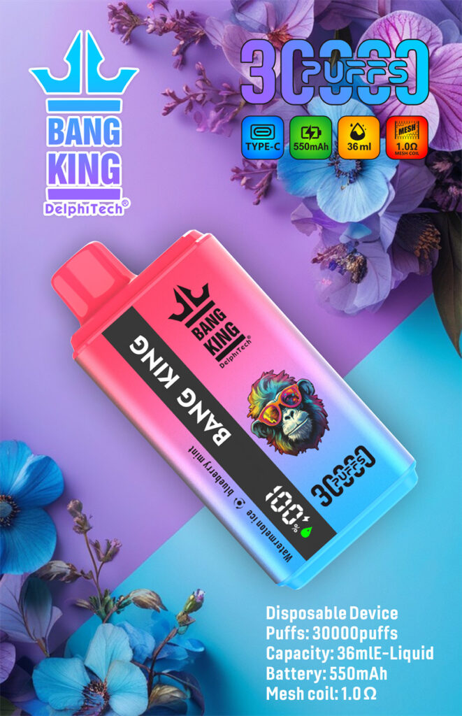 Bang King 30000 Puffs Double Flavors