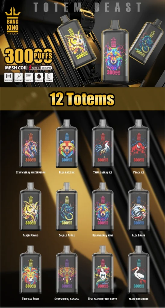 10 hlavných dôvodov, prečo vaperi milujú Bang King Crystal 30000 Puff Vape z EÚ skladov 3 Bang King 30000 Puffs