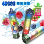 Bang King 40000 Puffs 40K Veľkoobchod Vape Online Rýchle dodanie Bez dane