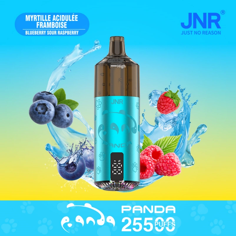 Innovation directions of electronic cigarette technology 1 JNR Panda Pod Kit