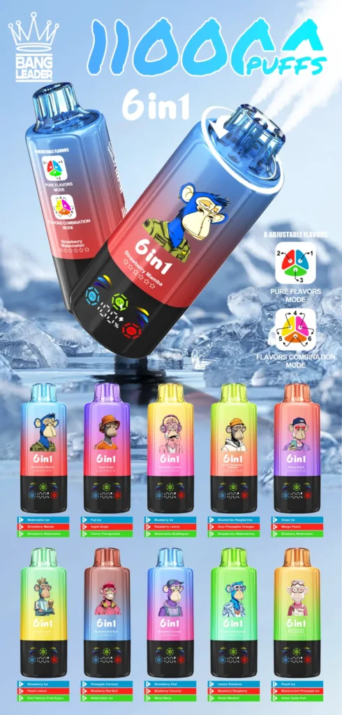 Bang Leader 110K Puffs 6 em 1 Vape Descartável - Venda por grosso e a retalho na UE 2 Bang Leader 110K Puffs