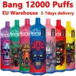 Bang 12000 Puffs