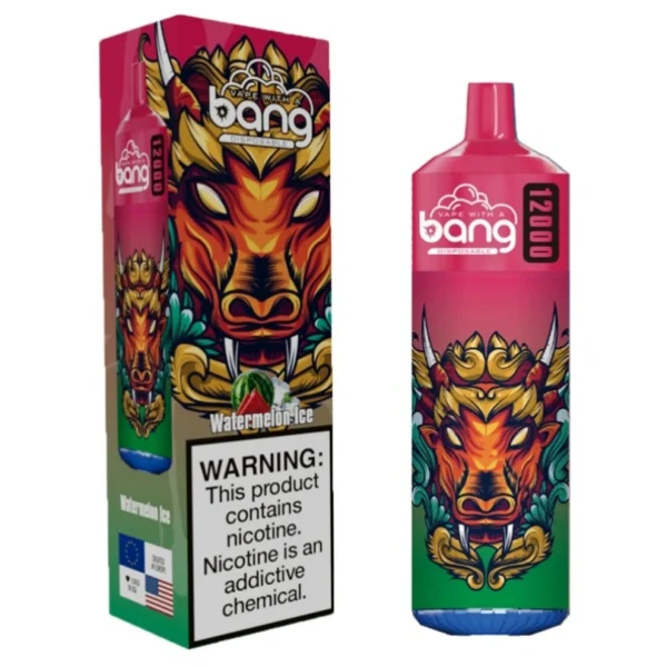 Bang 12000 Puffs