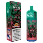 Bang 12000 Puffs