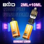 Bood Pulse Storm 12000 bouffées