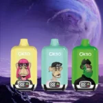 OKSO Digital Box 12000 Puffs