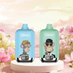 OKSO Digital Box 12000 Puffs