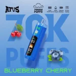 ATVS 70000 Puffs
