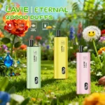 Lavie 20000