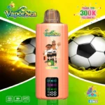 Vaporsea 300 000 caladas